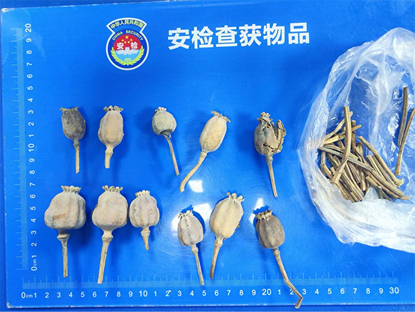 1676447570271057.png 安檢站查獲罌粟事件.png